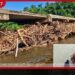 මා ඔයේ පල්ලේගම පාලමේ සිරවූ දැව කඳන් සහ අවශේෂ ඉවත් කිරීමේ මෙහෙයුම සාර්ථකව අවසන් කෙරේ