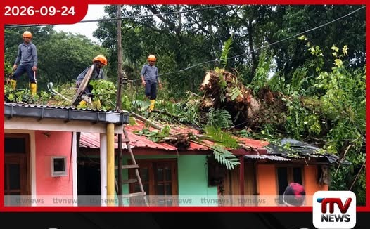 අධික වර්ෂාවෙන් නාවලපිටියේ වතු නිවාස පේළියකට මැයි මාර ගසක් කඩා වැටෙයි