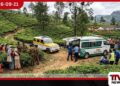 ලිඳුල ඕල්ට්රීම් වතුකම්කරුවන්ට බඹරුන්ගෙන් දරුණු ප්රහාරයක්..
