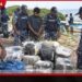 රුපියල් මිලියන 38කට අධික විදේශීය කංසා තොගයක් සමඟ සැකකරුවෙක් නාවික හමුදා භාරයට