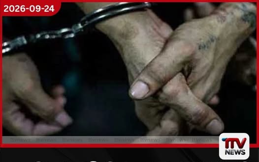 කොටහේනේදී මත් කරල් 62,000කට අධික තොගයක් සමඟ සැකකරුවන් හතර දෙනෙක් අත්අඩංගුවට…