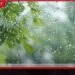 දිවයිනේ පළාත් කිහිපයකට අදත් ගිගුරුම් සහිත වැසි!