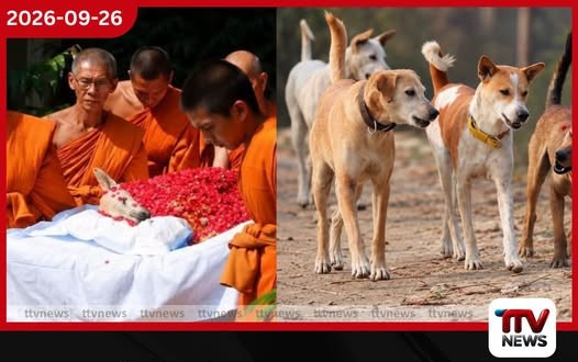 ආලෝකාට මතක ඉතුරු කර ගජමිතුරා සෝ දිවිසැරිය නිමා කරයි!