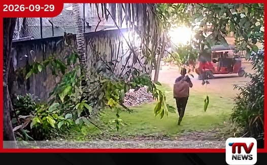 වැල්ලවත්තේ නීතිඥවරියකගේ රන් පවුම් 39ක් සහිත සේප්පුව සොරාගත් වැල්ලවත්තේ උබයා ඇතුළු දෙදෙනෙක් අත්අඩංගුවට