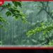 ප්රදේශ කිහිපයකට මිලිමීටර් 50 ඉක්මවූ තද වැසි…