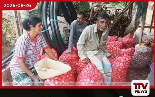 ඇලහැර ලොකු ලූනු ගොවීන්ට වැස්සෙන් අස්වනු විකුණාගත නොහැකිව කිලෝමීටර් 35ක් දඹුල්ලට යන්න වෙයි