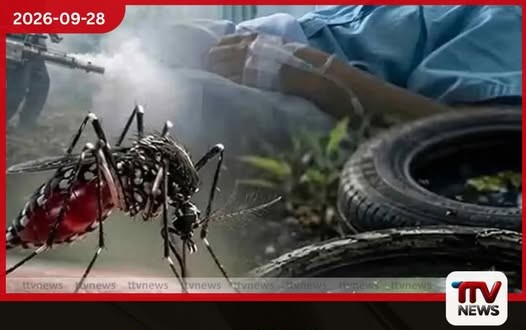 ඩෙංගු රෝගීන් ගණන ලක්ෂය ඉක්මවයි…