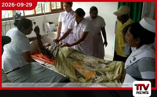 බගවන්තලාව බ්රිඩ්වෙල් වතුයායේදී පාලනයෙන් මිදුණු වෑන් රථයක් දළු මඩුව ළඟ සිටි කාන්තාවකගේ ගැටී බරපතළ තුවාල!