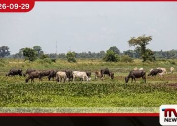 මඩකලපුව මෛලත්තමඩු-මාදවනම් ගොවිබිම් ගැටලුවට ස්ථිර විසඳුමක් ලබාදීමට රජය පියවර ගනියි