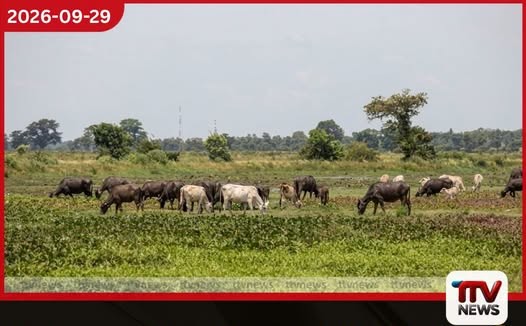මඩකලපුව මෛලත්තමඩු-මාදවනම් ගොවිබිම් ගැටලුවට ස්ථිර විසඳුමක් ලබාදීමට රජය පියවර ගනියි