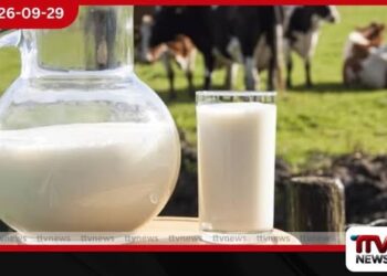 22 වැනි සංශෝධනයට එරෙහිව විපක්ෂයේ පක්ෂ සියල්ල එකම මතයක සිටිනවා