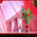 Morocco හි මාධ්යවේදීන් නිරීක්ෂණය කළ බවට Amnesty චෝදනා කරයි