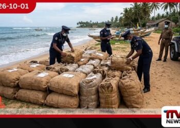 දුන්ගල්පිටිය පිටිපනදී නීති විරෝධීව ගෙනා බීඩි කොළ කිලෝ 442ක් පොලිස් භාරයට