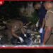 අඟුලාන කැලිකසළ මංසන්ධියකින් ජීව අත්බෝම්බ 2ක් සහ පතොරොම් තොගයක් සොයාගනී