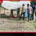 ගල්ගමුවේදී වන අලි පහරින් කොමඩු වෙළෙන්දා මරුට!