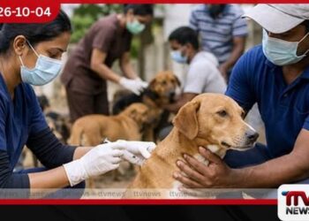 2030 වන විට ජලභීතිකාවෙන් තොර ශ්රී ලංකාවක් බිහි කිරීමට පුළුල් වැඩසටහන් ක්රියාත්මකයි!