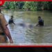 බදුරලියේ ඇළක දිය නෑමට ගිය 62 හැවිරිදි පුද්ගලයෙකු දියේ ගිලී එලොව ගිහින්