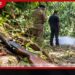 නවගත්තේගම තඹබෝව රක්ෂිතයේදී බඳින තුවක්කුවක් ක්රියාත්මක වී 62 හැවිරිදි පුද්ගලයා මෙලොවින් සමුගනී