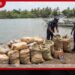 දුන්ගල්පිටිය තලාහේන කලපුවේදී බීඩි කොළ කිලෝ 128යි ග්‍රෑම් 500ක් පොලිස් භාරයට