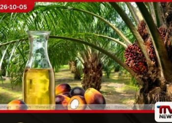 පාම්තෙල් ආනයන තහනම ඉවත් නොකරන්නැයි පාරිභෝගික අයිතීන් සුරැකීමේ ජාතික ව්‍යාපාරයෙන් රජයට ඉල්ලීමක්