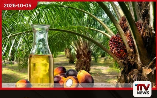 පාම්තෙල් ආනයන තහනම ඉවත් නොකරන්නැයි පාරිභෝගික අයිතීන් සුරැකීමේ ජාතික ව්යාපාරයෙන් රජයට ඉල්ලීමක්