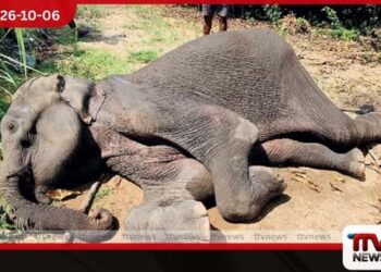 හක්කා පටස් ආහාරයට ගත් කෙනරක් වැලිකන්දේදී මරුට