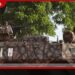 Niger කැරැල්ල මැඩපැවැත්වීමට  Algeria ප්‍රහාරක යානා  යැවූ බවට ප්‍රකාශයක්