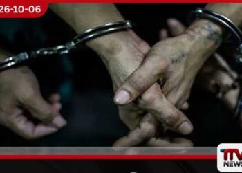 නිකවැරටියේදී පුරාවස්තු කැණීම් කළ තිදෙනෙක් උපකරණත් සමඟ අත්අඩංගුවට!