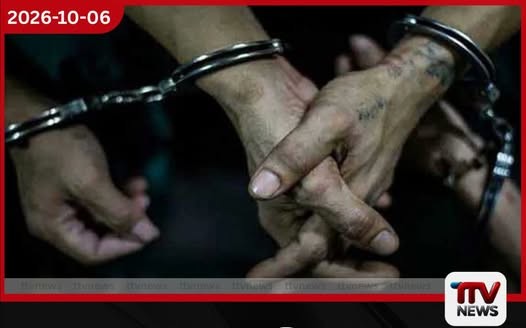 නිකවැරටියේදී පුරාවස්තු කැණීම් කළ තිදෙනෙක් උපකරණත් සමඟ අත්අඩංගුවට!