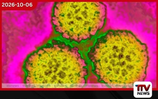 පිළිකා රෝගීන් 8 දෙනෙකුගෙන් එක් අයෙකුට ආසාදන හේතුවක්