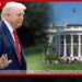 CNN, MS NOW සහ Politico මාධ්‍යවේදීන්ට ධවල මන්දිර ප්‍රවේශය යළි ලබාදීමේ අධිකරණ නියෝගය දීර්ඝ කෙරේ