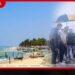 සිලාවතුර අරිප්පු වෙරළ ඛාදනය පාලනයට සහ සංචාරක ආකර්ෂණය වැඩි කිරීමට නව වෙරළ උද්යානයකට මුල්ගල තැබේ