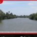 නිල්වලා ගඟ පිටාර ගලන  අවදානමක්…..