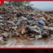 දිනකට කසළ ටොන් 9000ක් ජනනය වූවත් විධිමත්ව එකතු කරන්නේ ටොන් 4500ක් පමණයි!