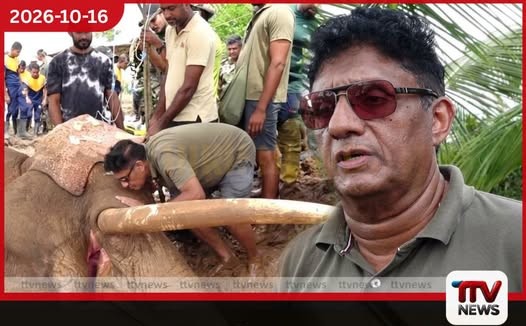 අද කාවන්තිස්ස ඇත් රජු මේ විදිහට වැටුණේ අලිමිනිස් ගැටුමේ එක්තරා ප්රතිඵලයක් නිසා
