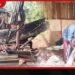 මුලතිව් තුනුකායී නිවසක ගේට්ටුව කඩා දොරත් බිඳගෙන  ඇතුළු වූ වන අලි දෙදෙනා වී ගෝනි හතරක්ම හිස් කරයි
