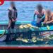 ශ්‍රී ලංකා මුහුදු තීරයේ නීති විරෝධී ධීවර හා මත්ද්‍රව්‍ය ජාවාරම්කරුවන් 55ක් නාවික හමුදා භාරයට!