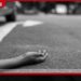 ගලේවෙල සහ ත්රිකුණාමලයේ සිදු වූ බස් රථ අනතුරු දෙකකින් පුද්ගලයින් දෙදෙනෙකු ජීවිතක්ෂයට!