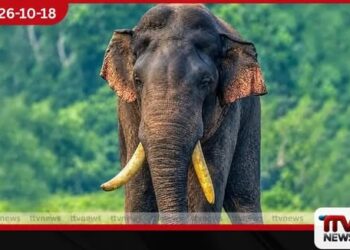 අග්බෝ ඇතා සෙවීමේ මෙහෙයුම් අඛණ්ඩව…