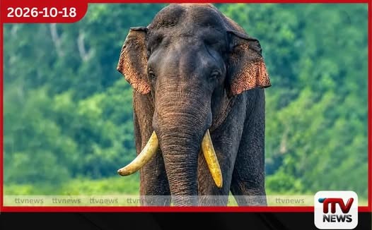 අග්බෝ ඇතා සෙවීමේ මෙහෙයුම් අඛණ්ඩව…