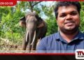 කාවන්තිස්සගේ මරණය ගැන එල්ල වූ චෝදනා මැද වනජීවී පශු වෛද්‍ය ඉසුරු සේවයෙන් ඉවත් වීමට තීරණය කරයි