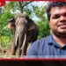කාවන්තිස්සගේ මරණය ගැන එල්ල වූ චෝදනා මැද වනජීවී පශු වෛද්‍ය ඉසුරු සේවයෙන් ඉවත් වීමට තීරණය කරයි