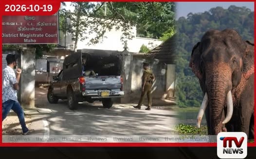 කාවන්තිස්ස ඇතාගේ සිද්ධියට තවත් සැකකරුවන් සිටීදැයි පරීක්ෂණ පවත්වනවා