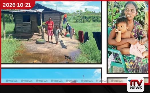 දිට්වා විපතට වසරයි…