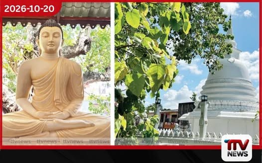 වසර 20ක් පිරෙන බොරැල්ලේ බෝසෙත ධම්ම නිකේතනයෙන් සමාජ සත්කාර රැසක් සමඟ පිංකම් මාලාවක්!