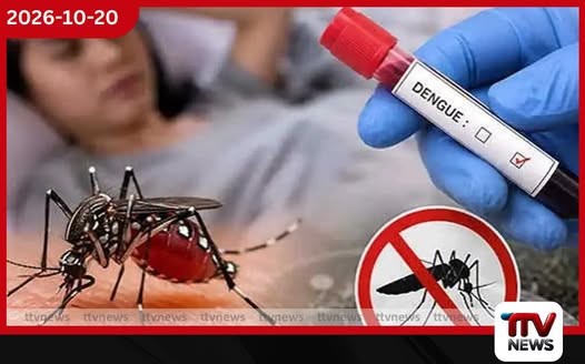 මෙම වසරේ ඩෙංගු මරණ 79ක් දක්වා ඉහළට