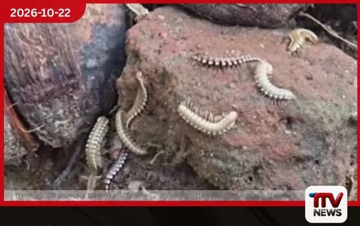 නිවාස 20ක් ආක්රමණය කළ හැකරැල්ලන්ගේන් මින්නේරියේ ගම්වැසියෝ දැඩි පීඩාවක……..