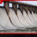 රාජාංගනය යට වෙන්නයි යන්නේ වාන් දොරටු 8ක් විවෘත කරයි