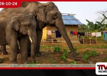 තඹුත්තේගම නියඩාවල වනඅලි ගැටලුවෙන් පීඩාවට පත් ගොවීන් රැකගන්නැයි රජයෙන් ඉල්ලයි