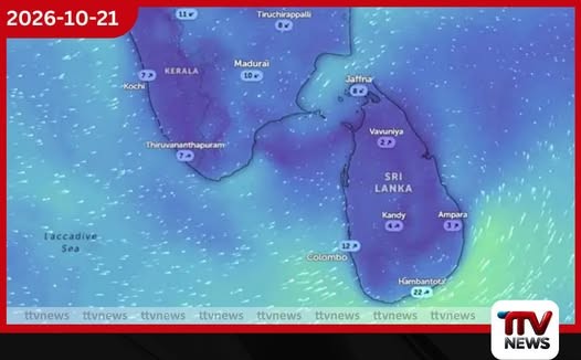 මුහුදට යන අය පරිස්සමින්!